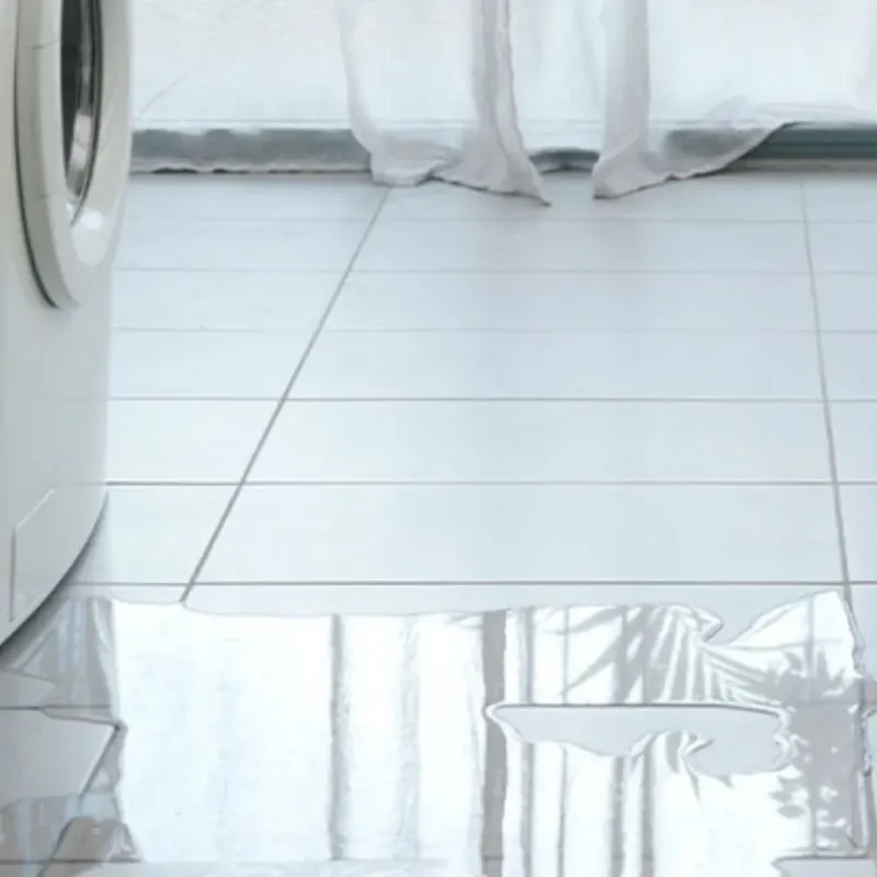 Appliance Leak Cleanup in Southport, IN