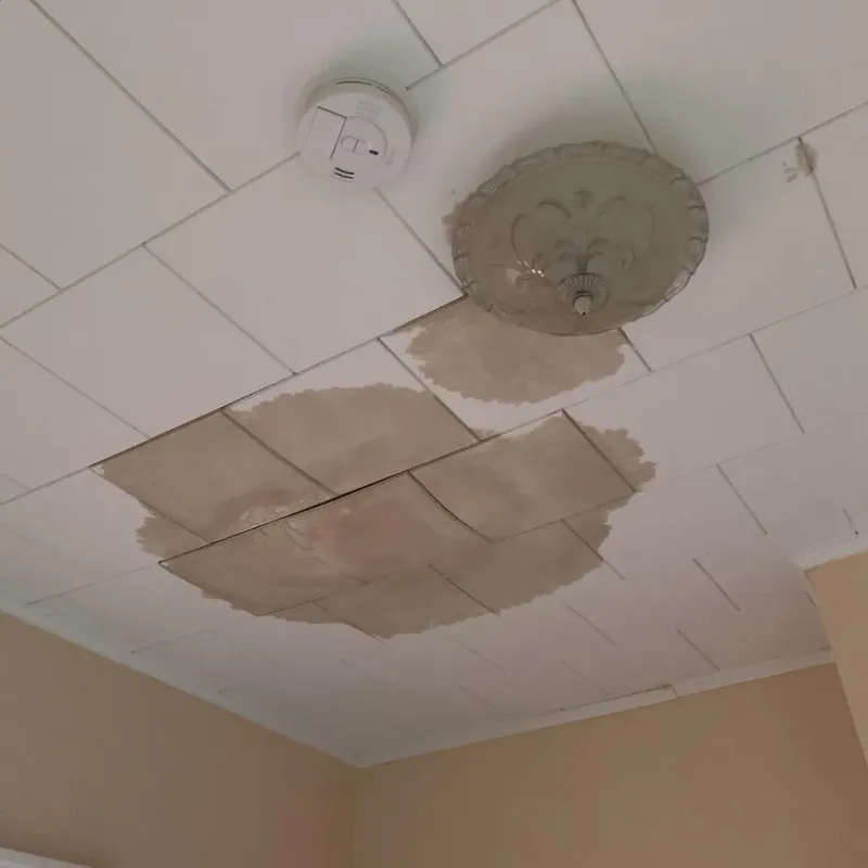 Ceiling Water Damage Repair in Southport, IN