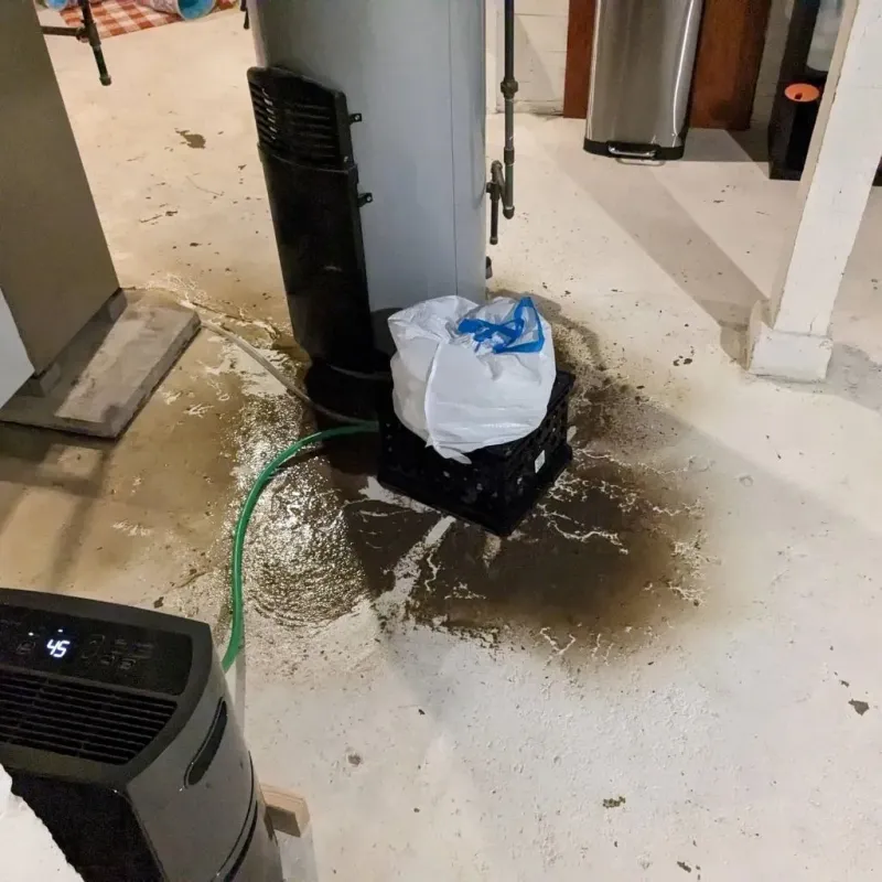 Sewage Backup Cleanup Service in Southport, IN